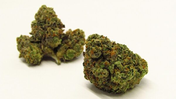 African Black Magic Cannabis Strain 29% - 30% THC