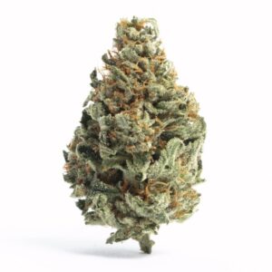 Birthday Dawg Cannabis Strain 45% THC