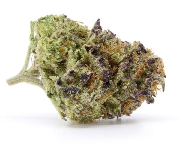 Blue Dream Marijuana Strain 17% - 24% THC 2% CBD 1% CBN