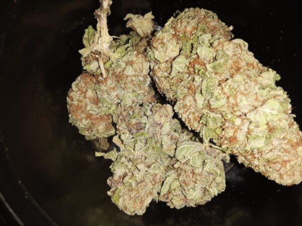 Blueberry Kush Cannabis Strain 24% THC