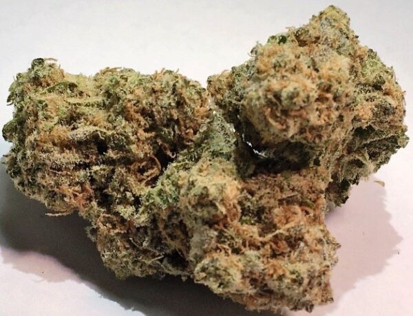Doc Trinity Cannabis Strain 20% - 28% THC