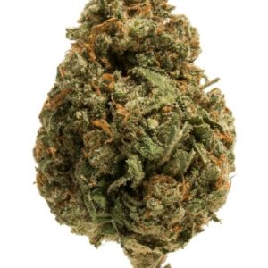 Mojilato Cannabis Strain 35% - 44% THC