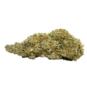 Swiss Fragolina Cannabis Strain 30% THC 10% CBD